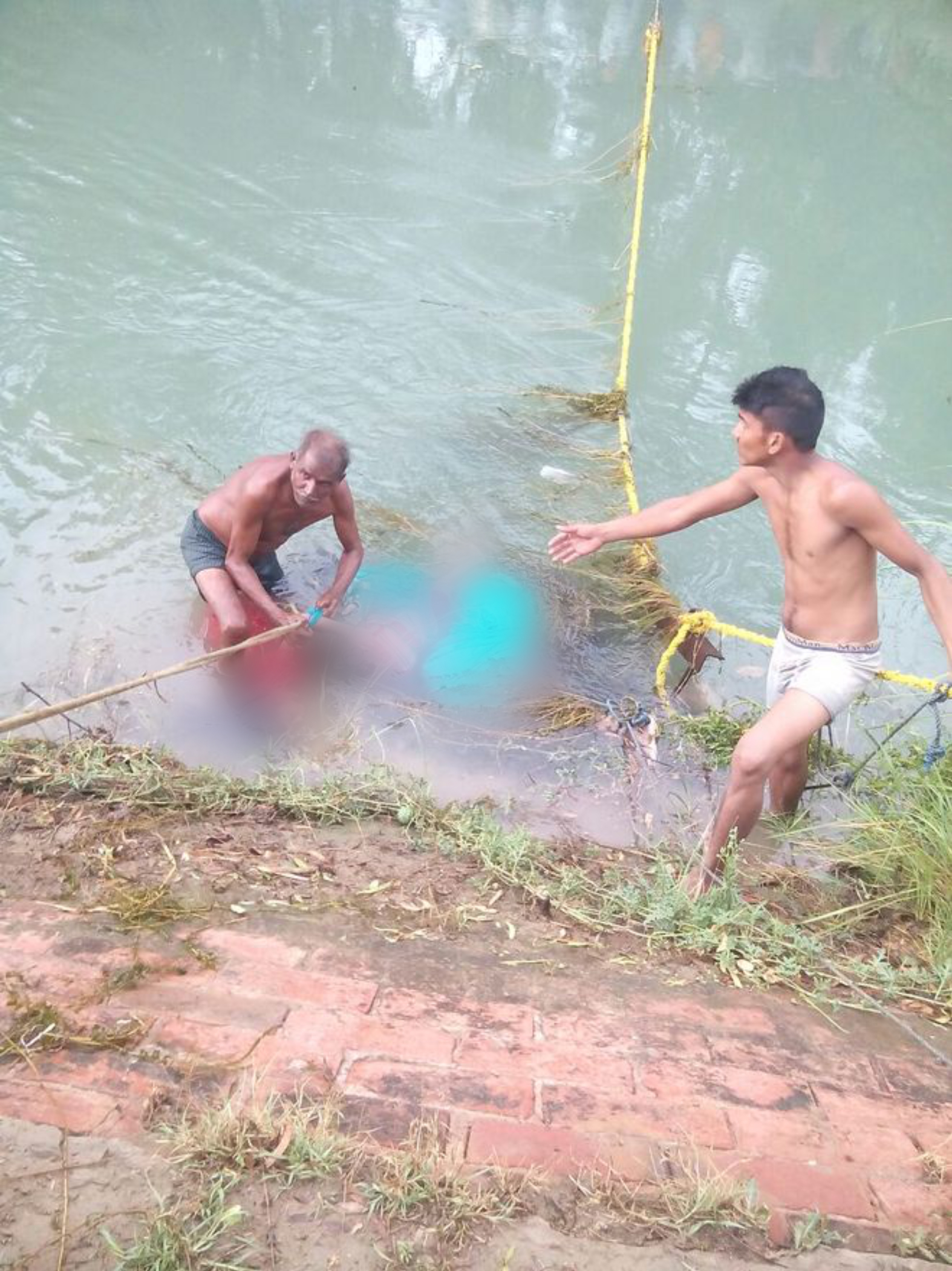naidunia_image